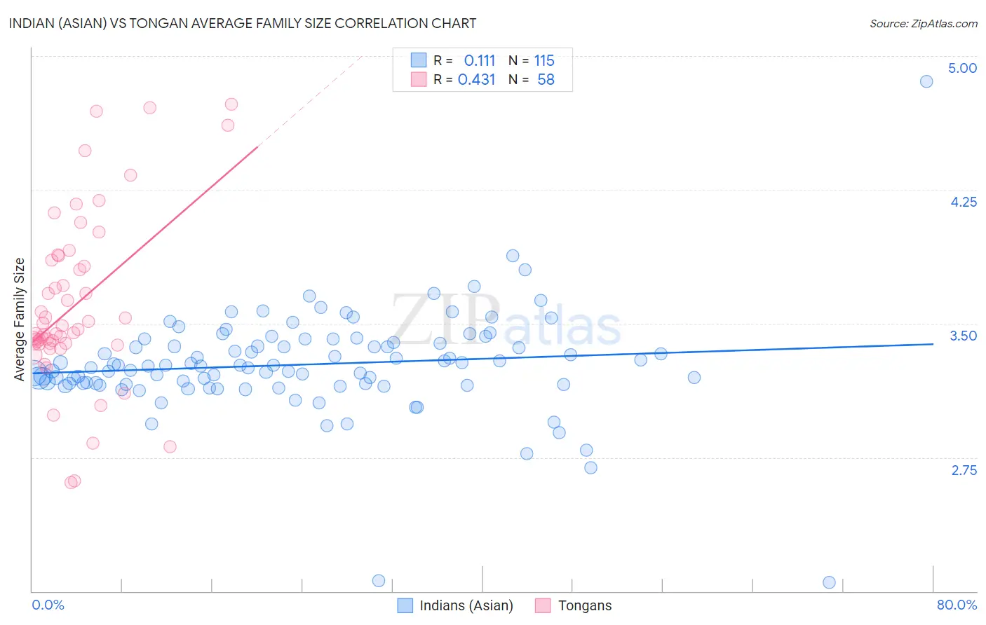 Indian (Asian) vs Tongan Average Family Size