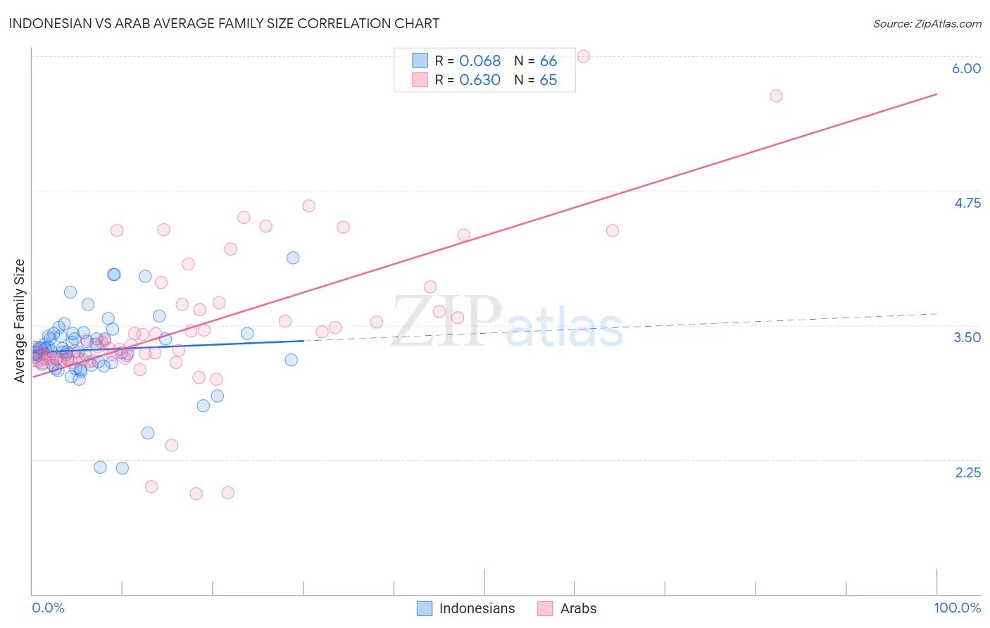 Indonesian vs Arab Average Family Size