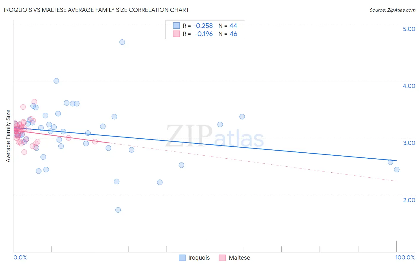 Iroquois vs Maltese Average Family Size
