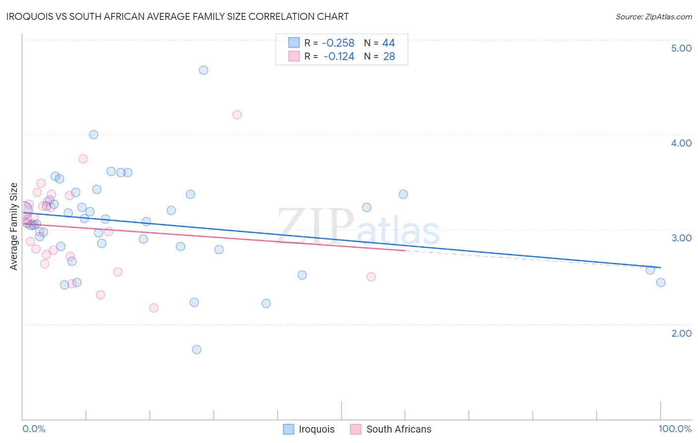 Iroquois vs South African Average Family Size