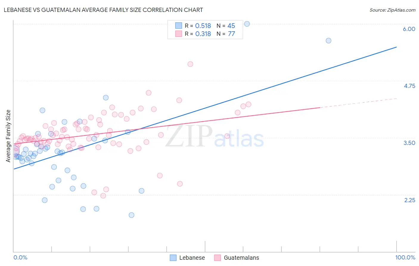 Lebanese vs Guatemalan Average Family Size