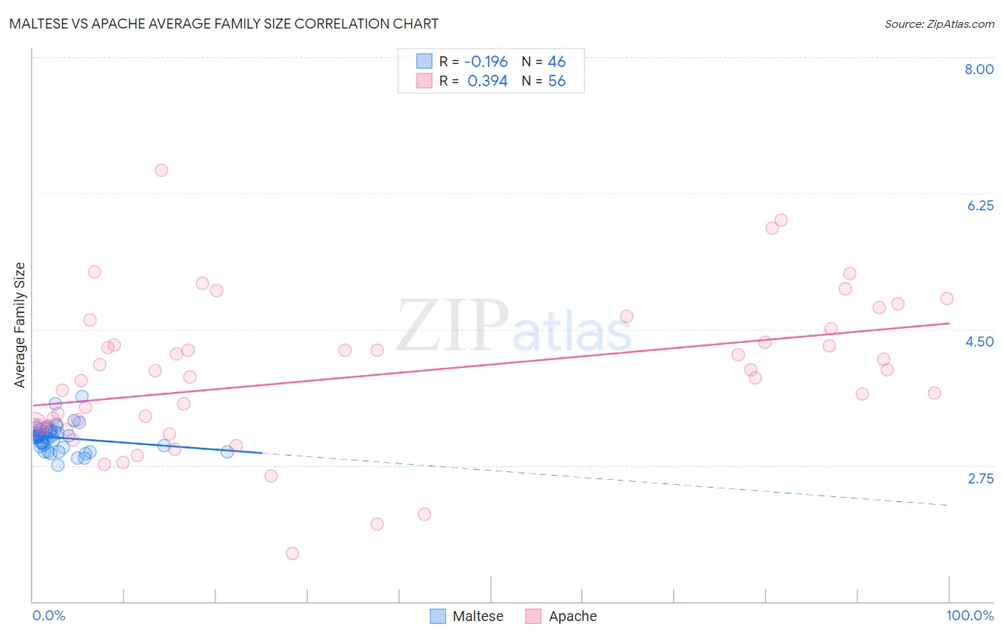 Maltese vs Apache Average Family Size