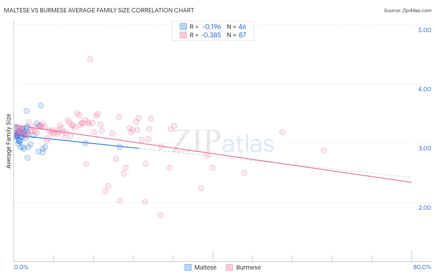 Maltese vs Burmese Average Family Size