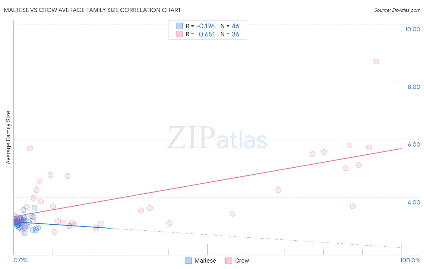 Maltese vs Crow Average Family Size