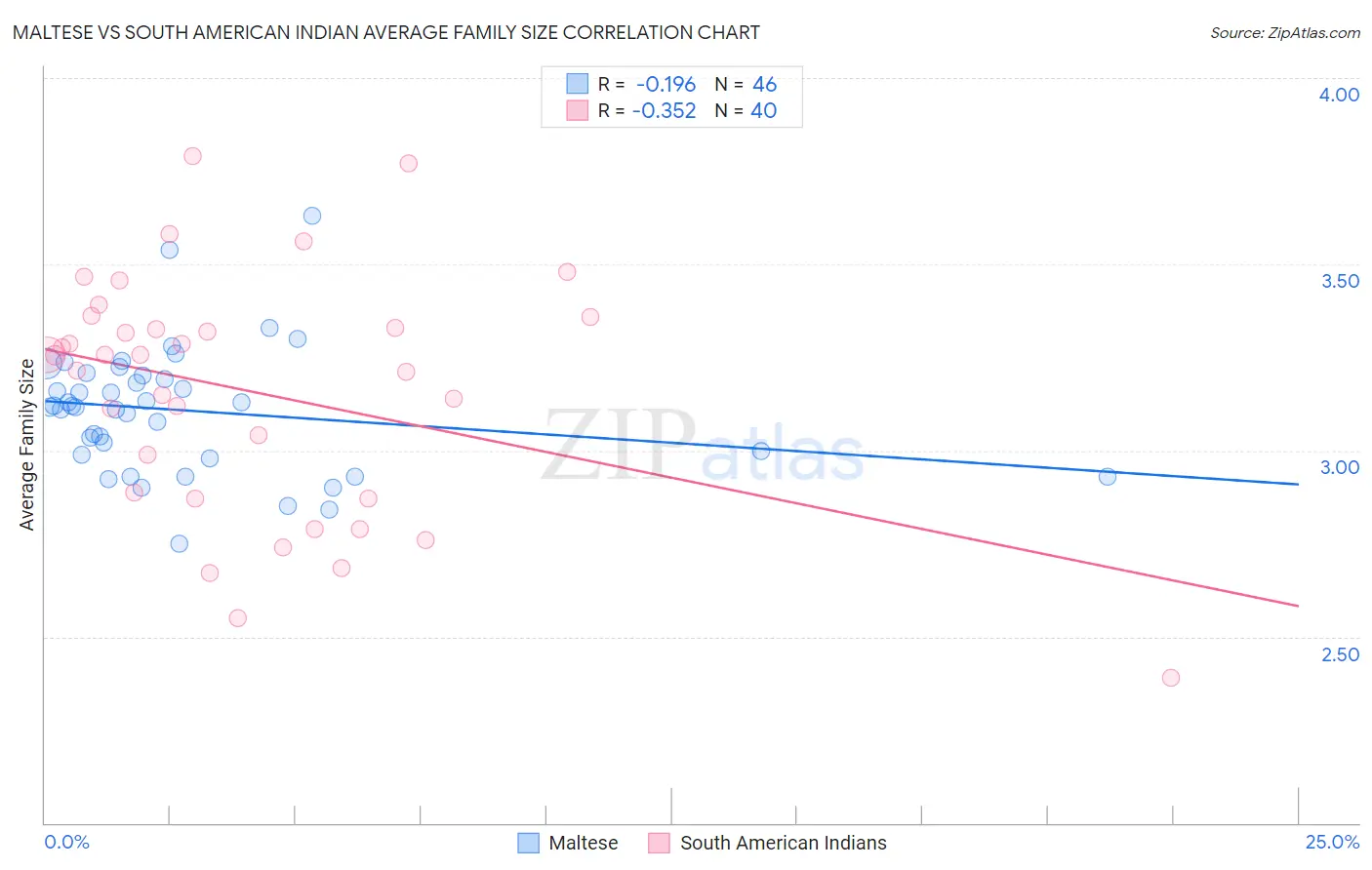 Maltese vs South American Indian Average Family Size