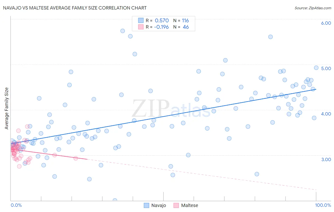 Navajo vs Maltese Average Family Size