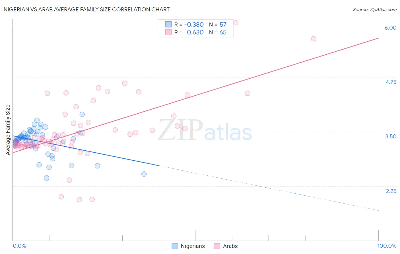 Nigerian vs Arab Average Family Size