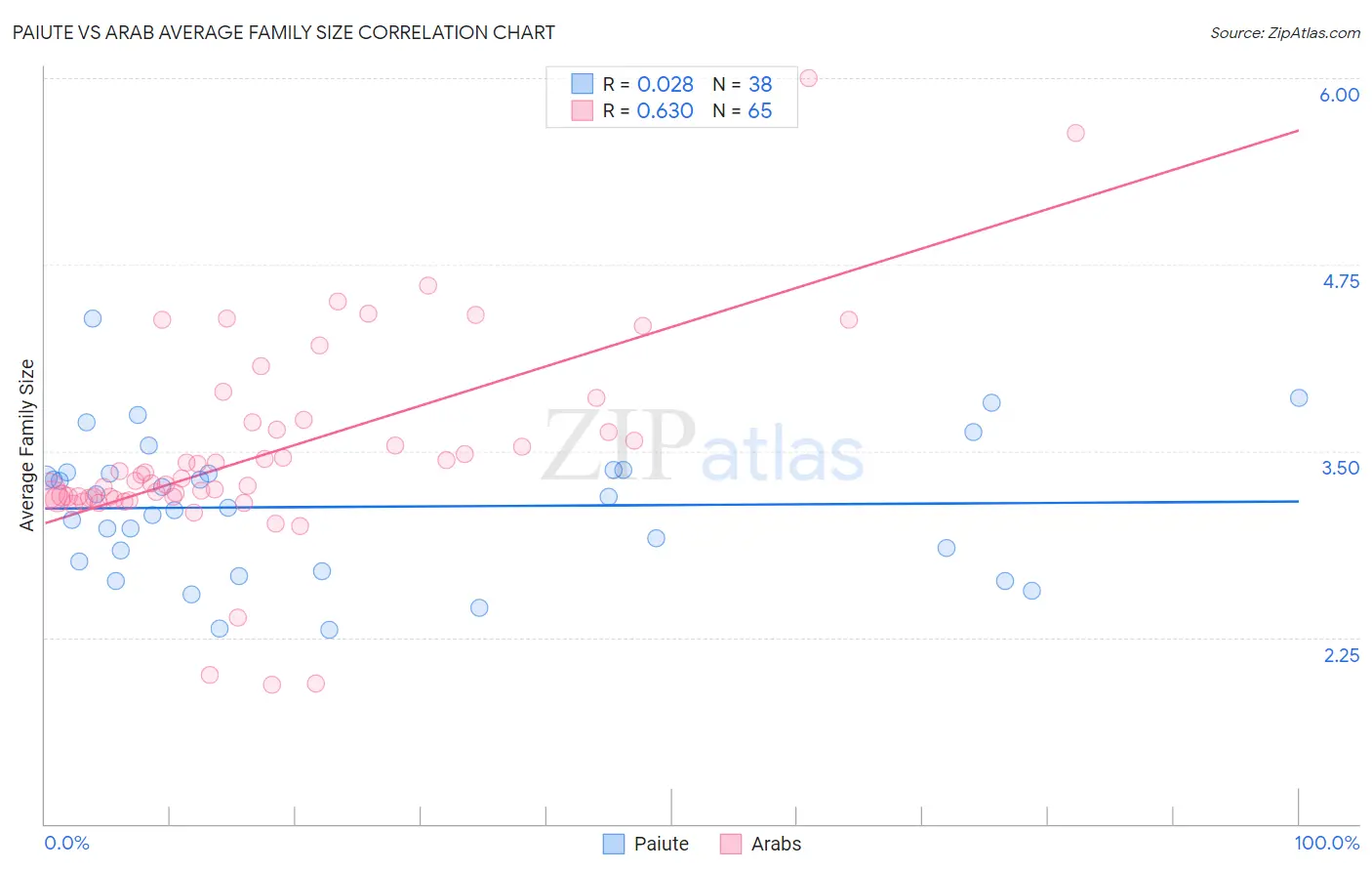 Paiute vs Arab Average Family Size