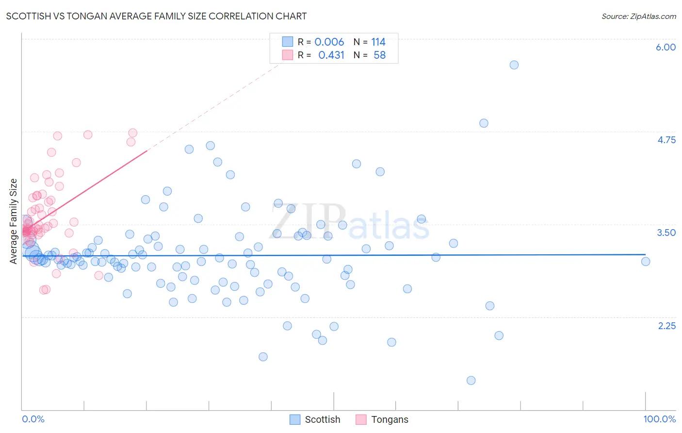 Scottish vs Tongan Average Family Size