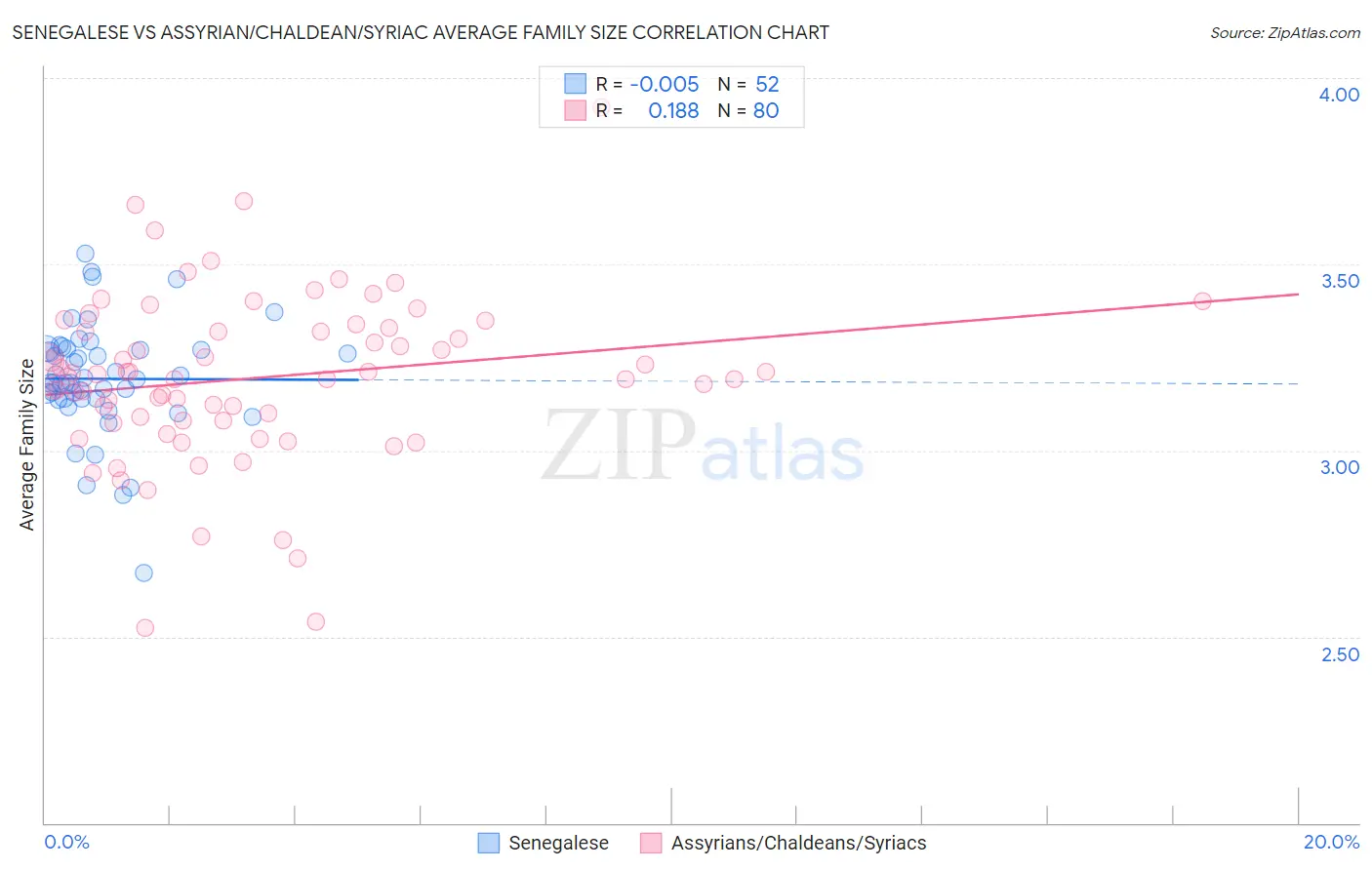 Senegalese vs Assyrian/Chaldean/Syriac Average Family Size