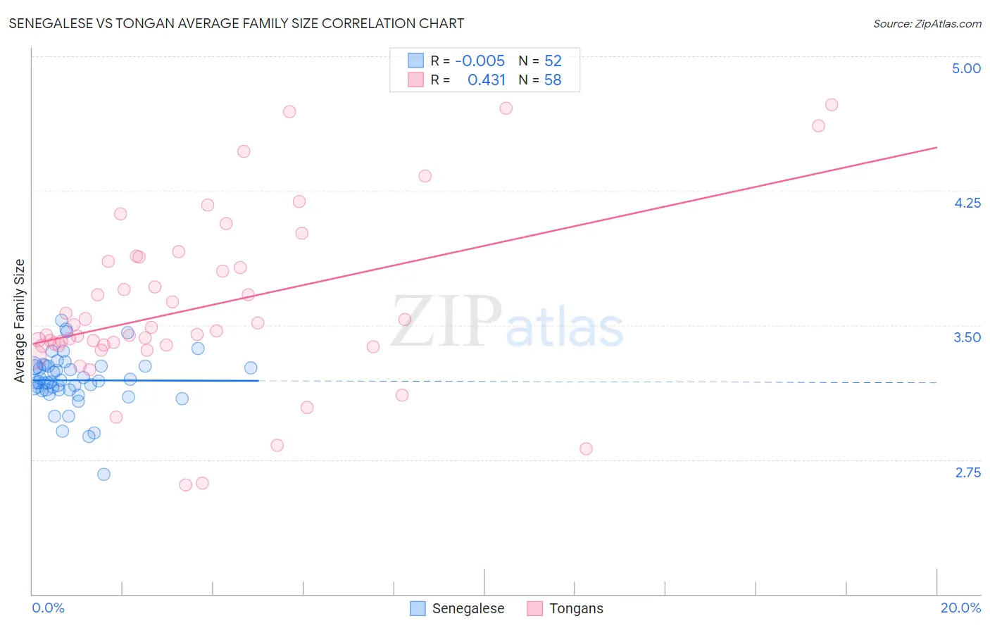 Senegalese vs Tongan Average Family Size