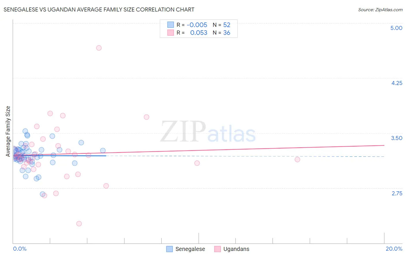 Senegalese vs Ugandan Average Family Size