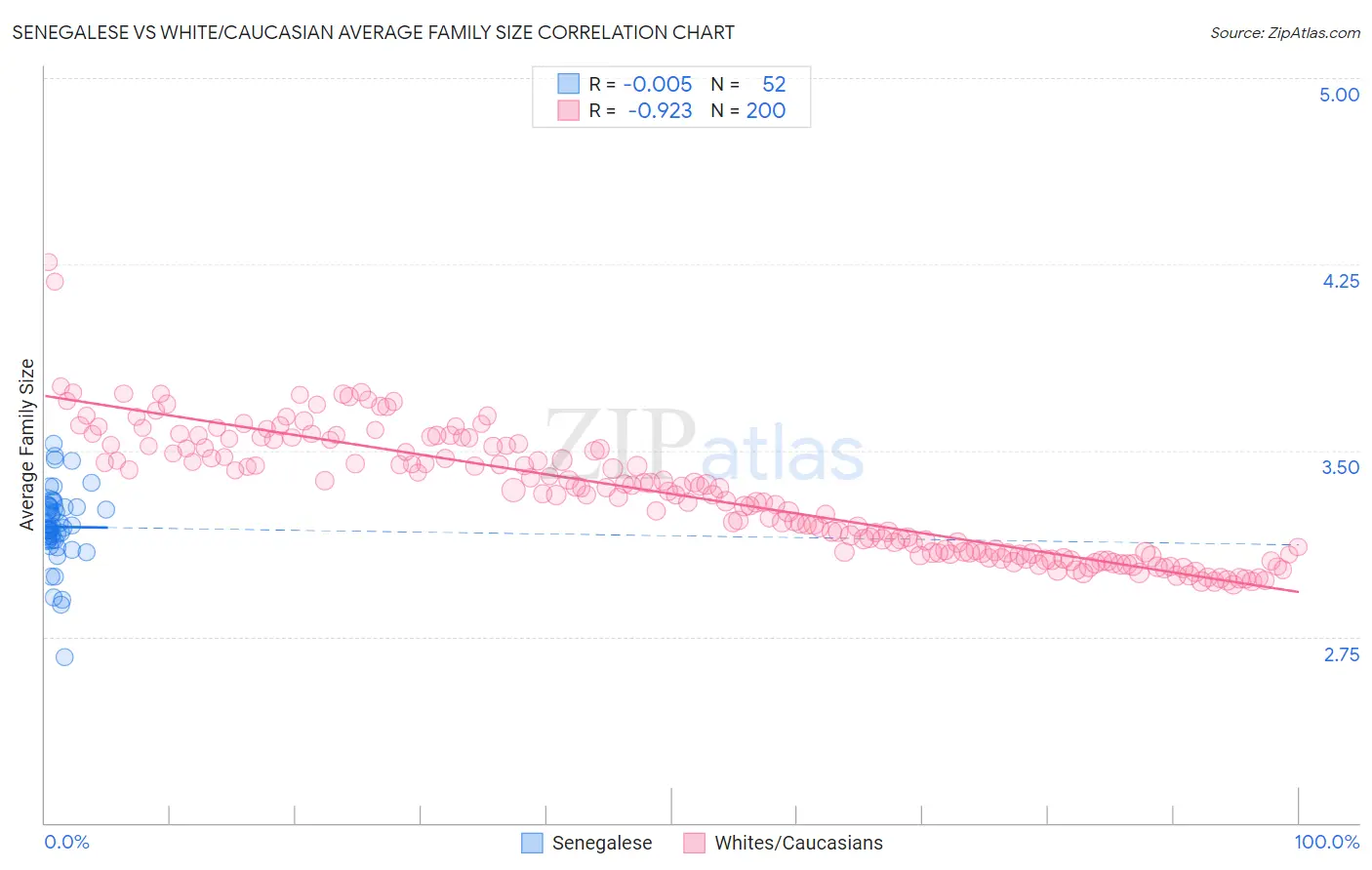 Senegalese vs White/Caucasian Average Family Size