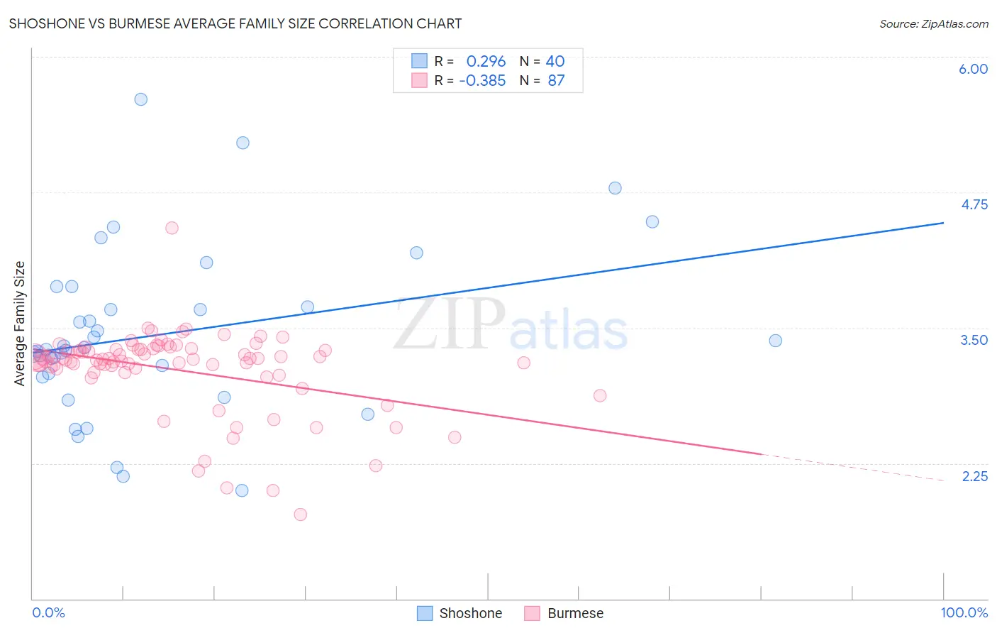 Shoshone vs Burmese Average Family Size