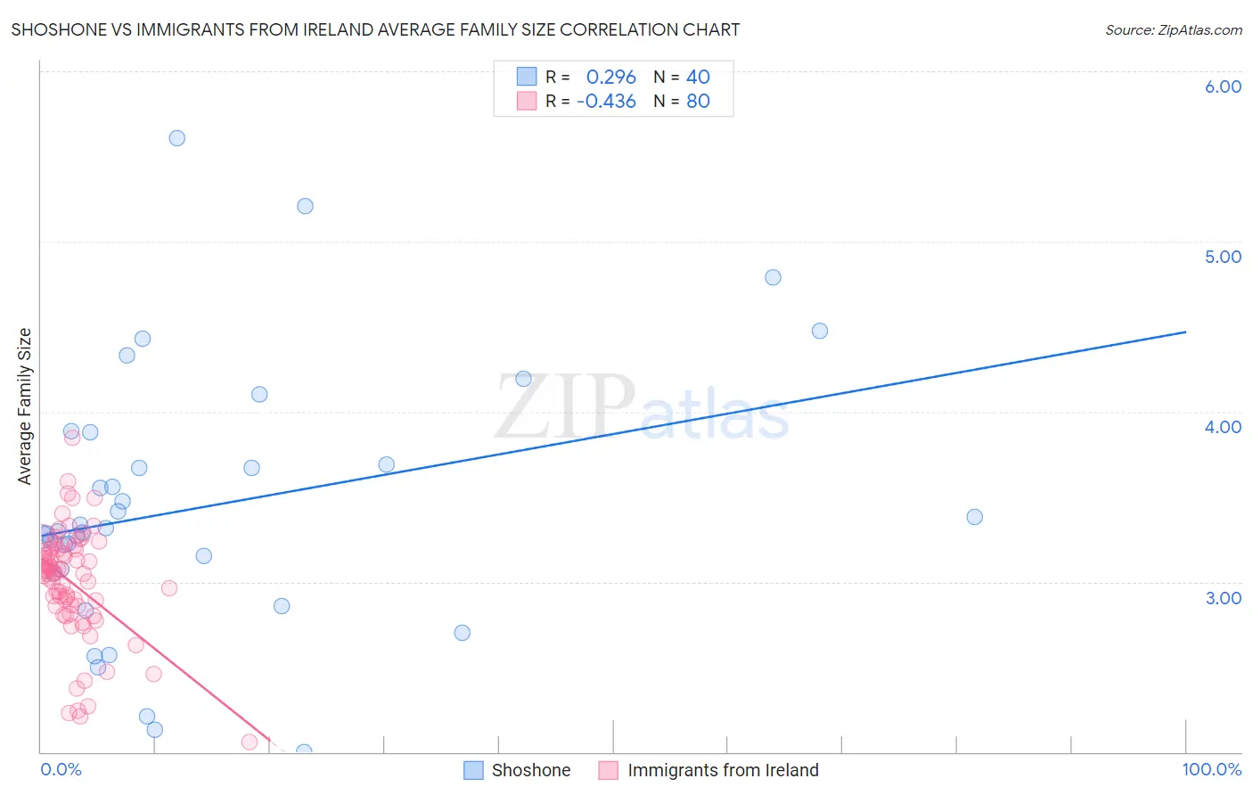 Shoshone vs Immigrants from Ireland Average Family Size