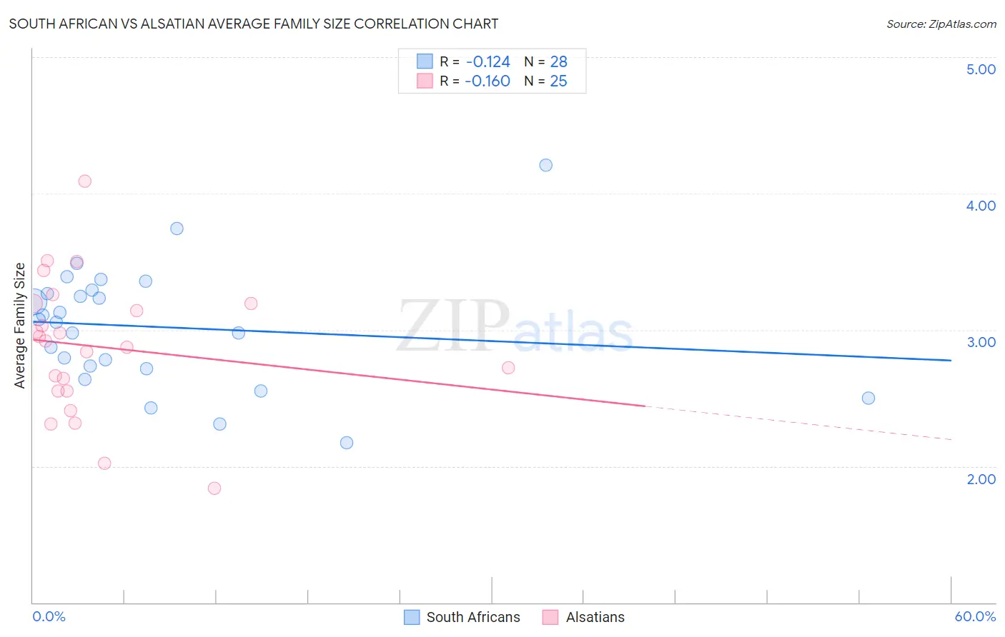 South African vs Alsatian Average Family Size