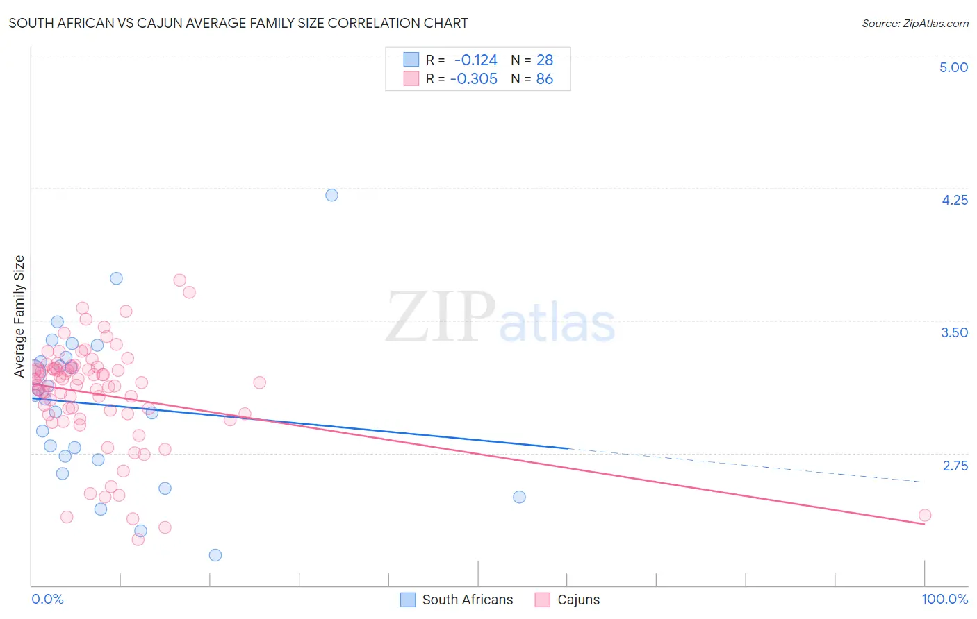 South African vs Cajun Average Family Size