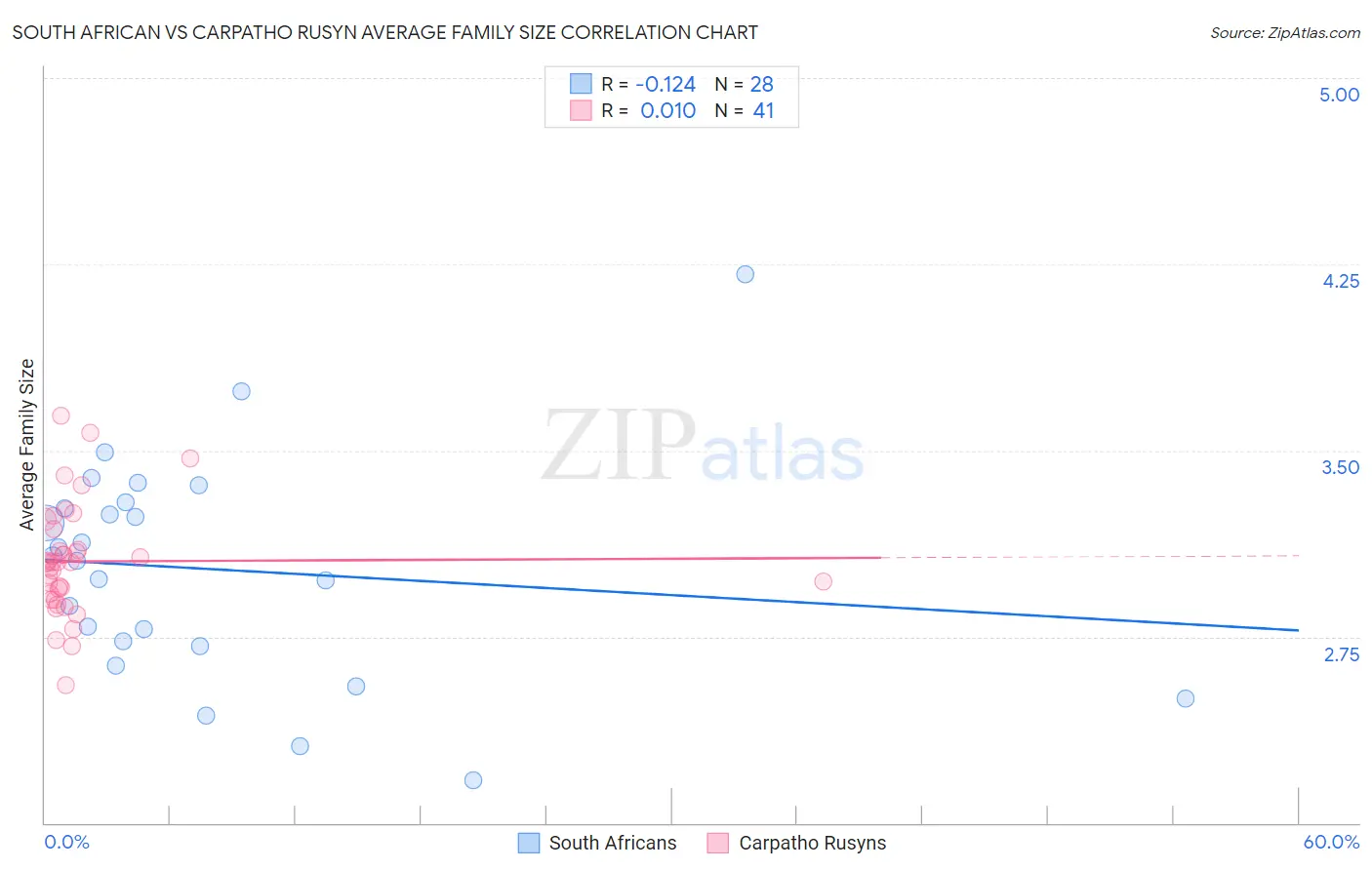 South African vs Carpatho Rusyn Average Family Size