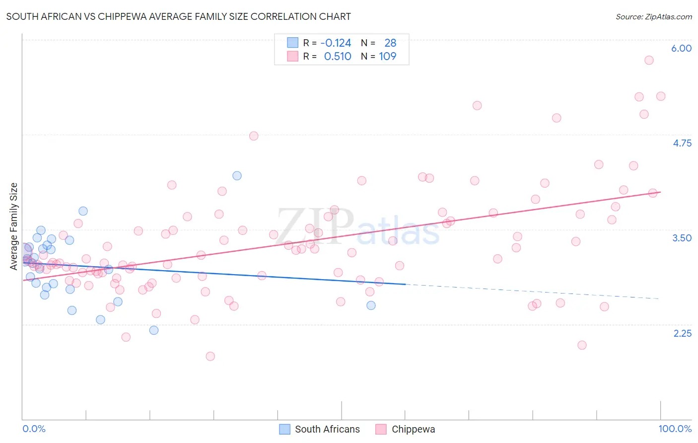 South African vs Chippewa Average Family Size