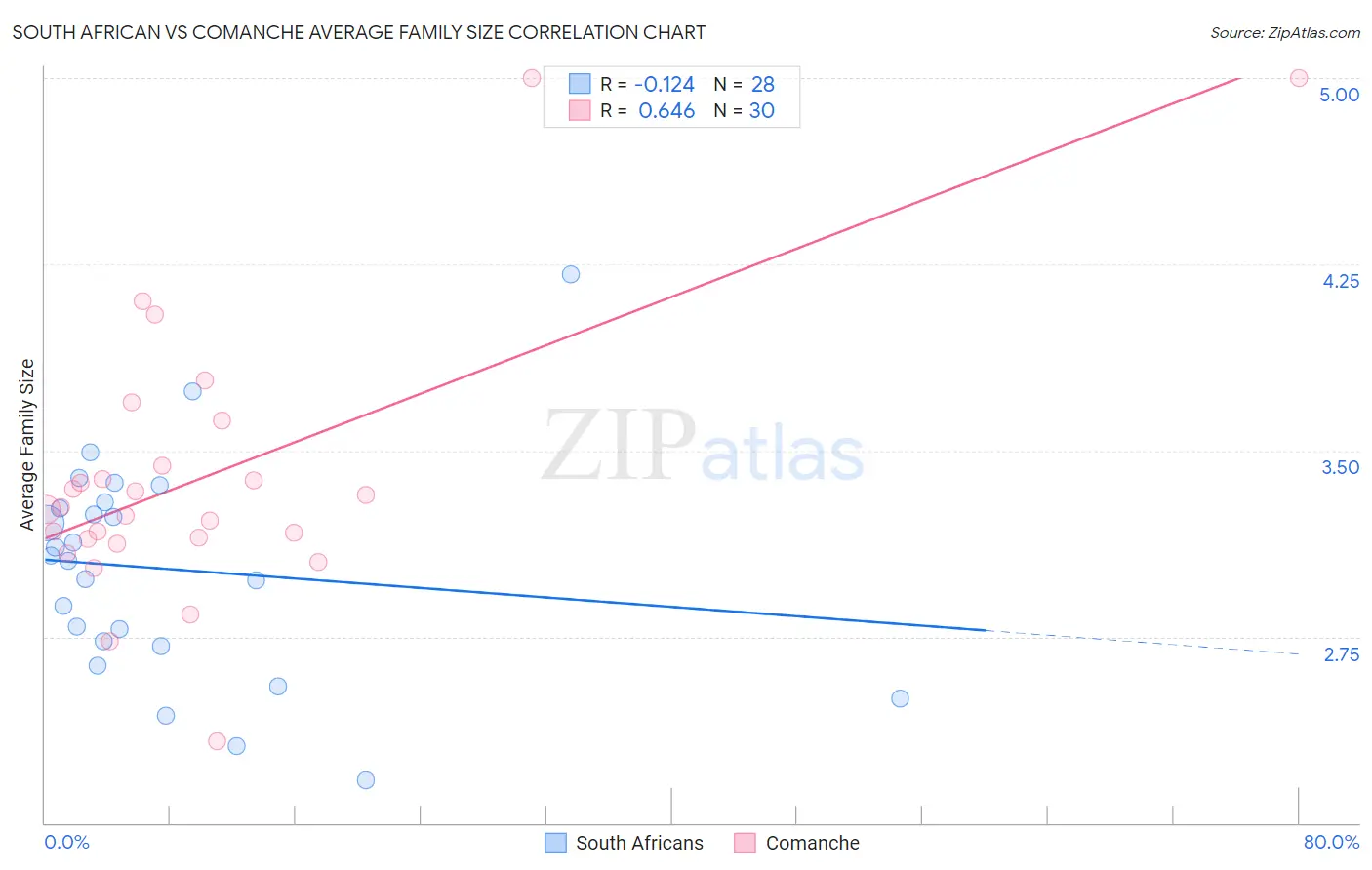 South African vs Comanche Average Family Size