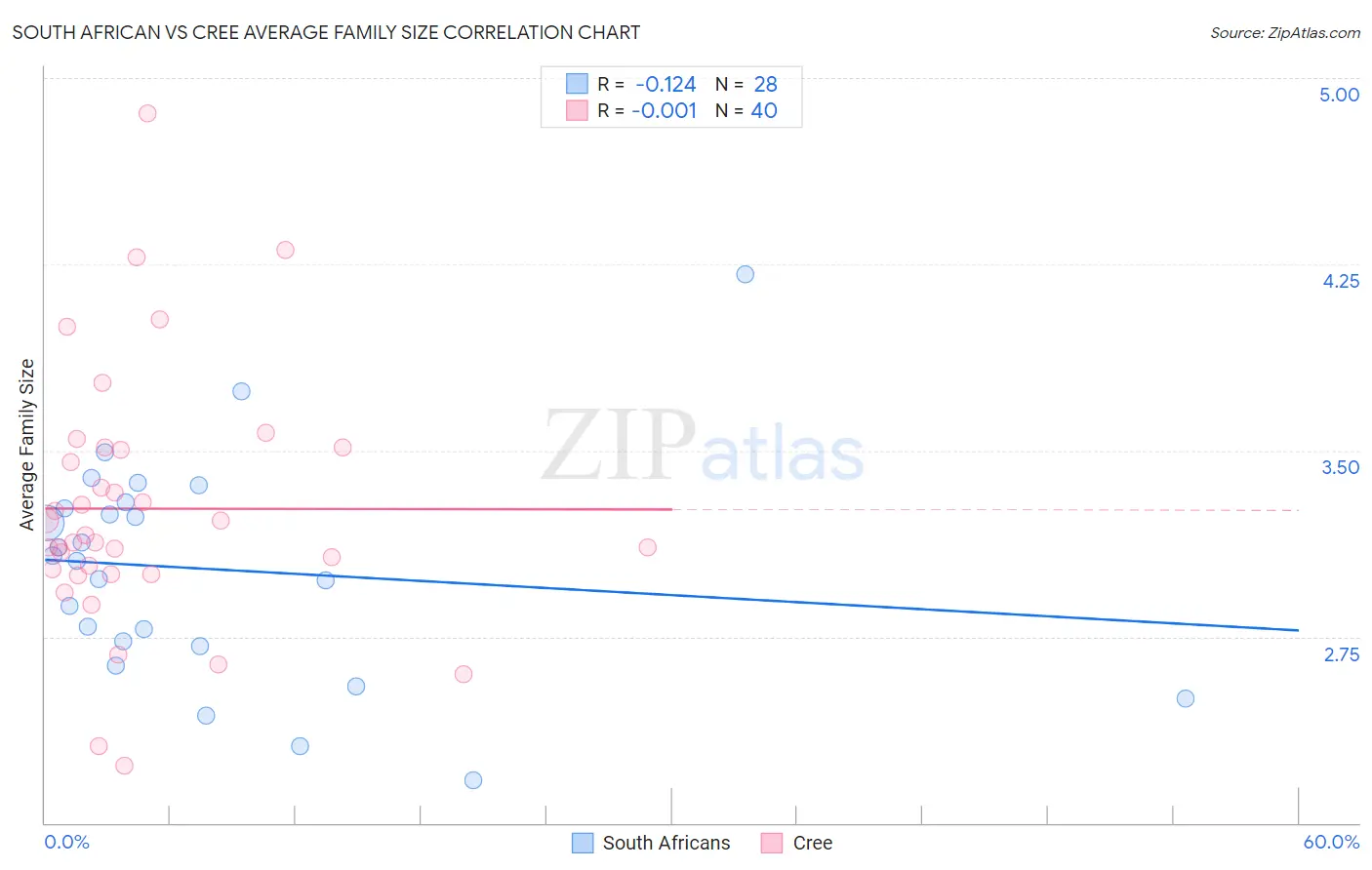 South African vs Cree Average Family Size