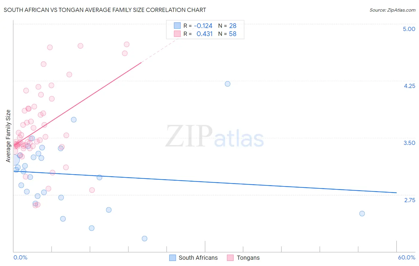 South African vs Tongan Average Family Size