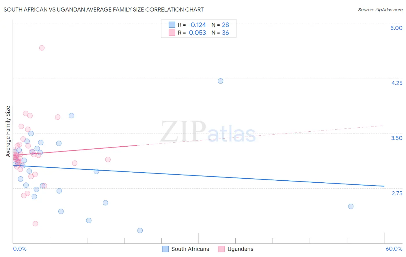South African vs Ugandan Average Family Size