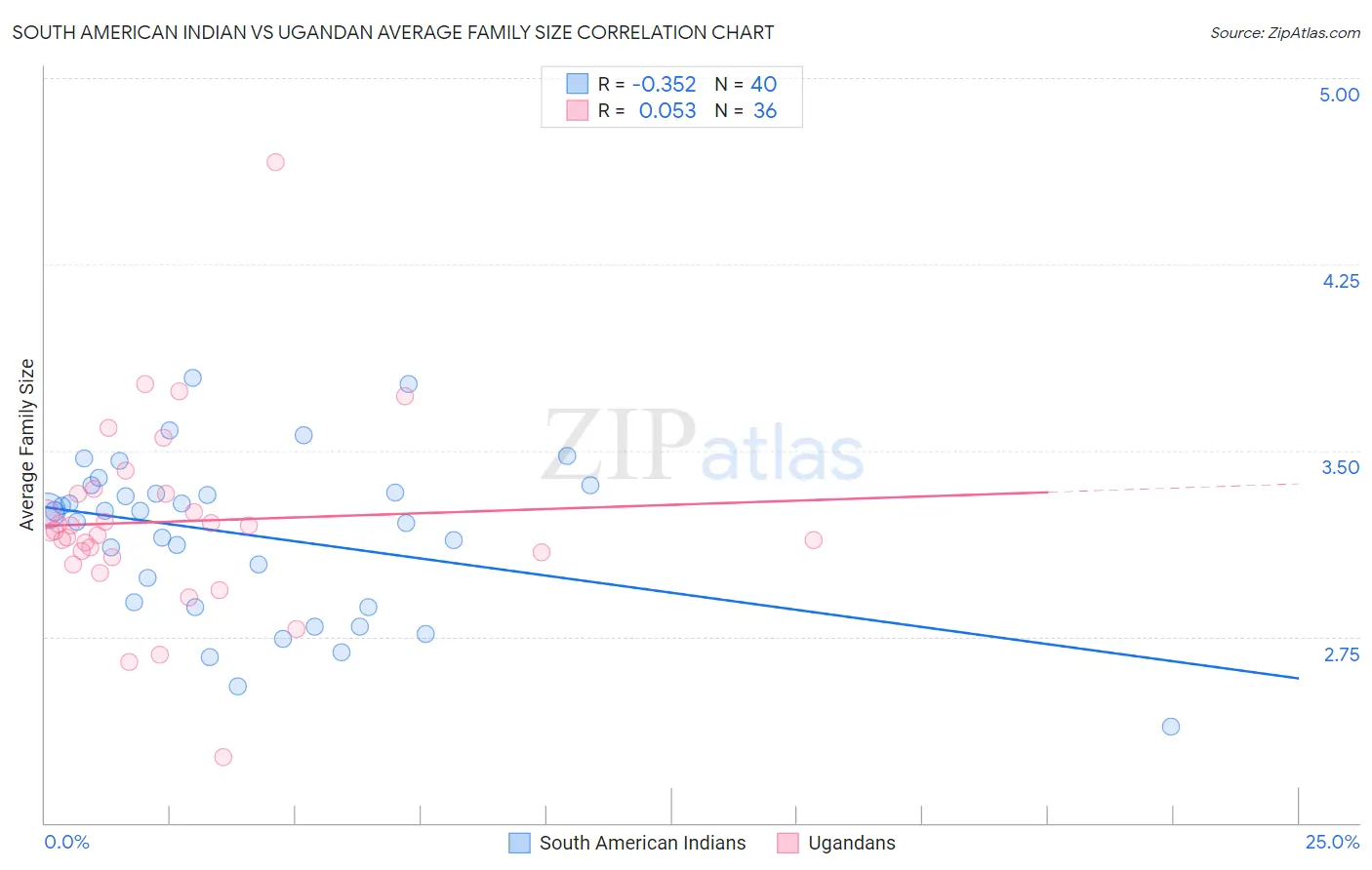 South American Indian vs Ugandan Average Family Size