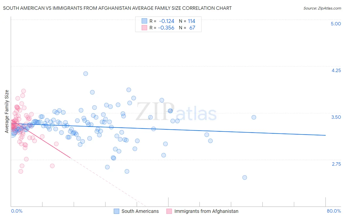 South American vs Immigrants from Afghanistan Average Family Size