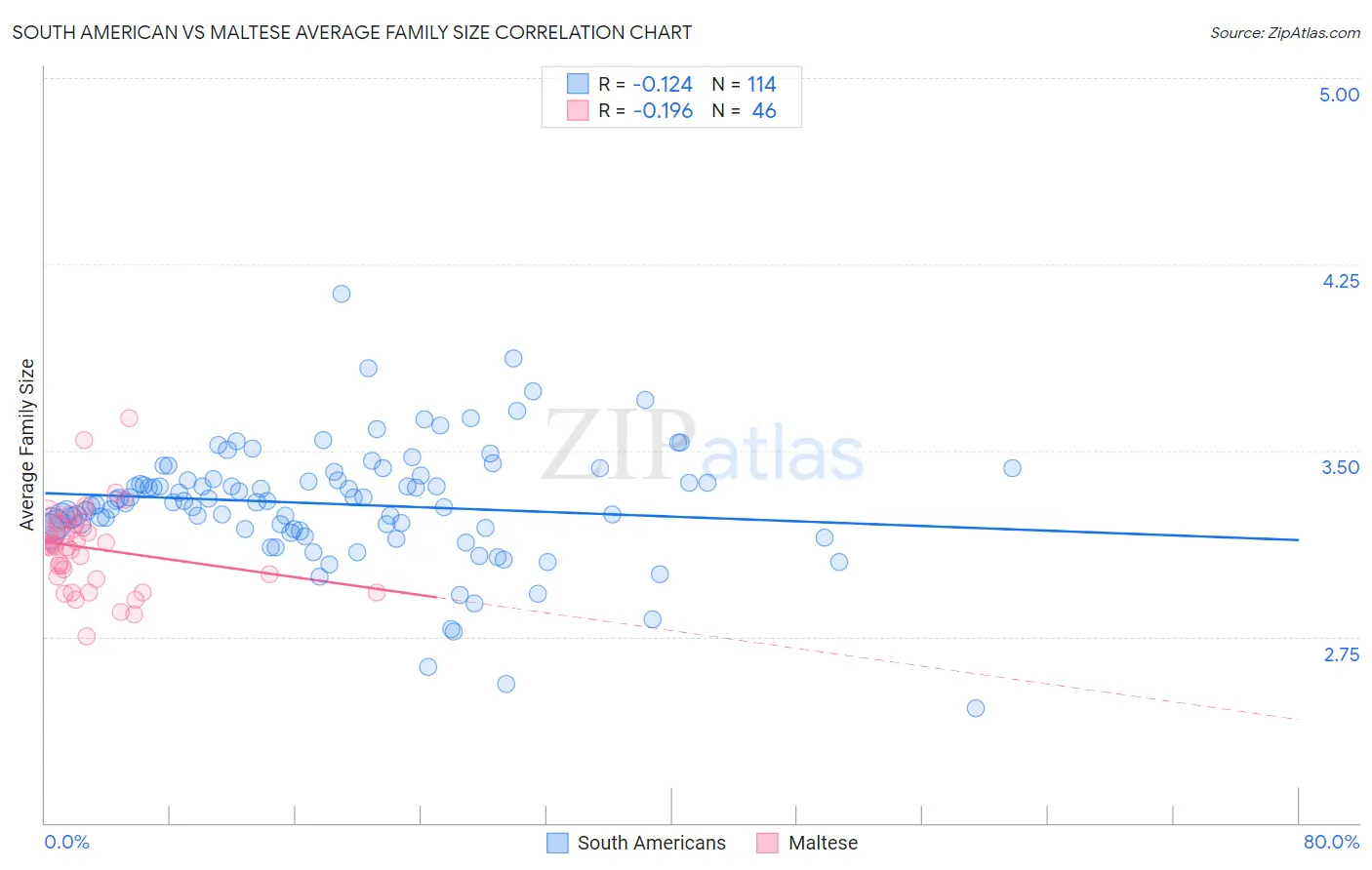 South American vs Maltese Average Family Size