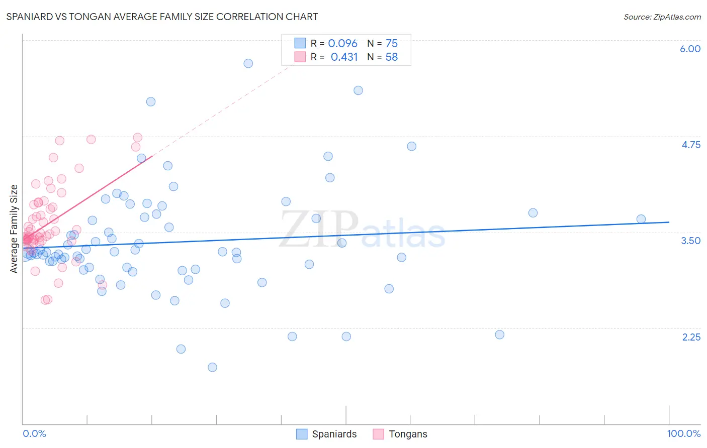 Spaniard vs Tongan Average Family Size