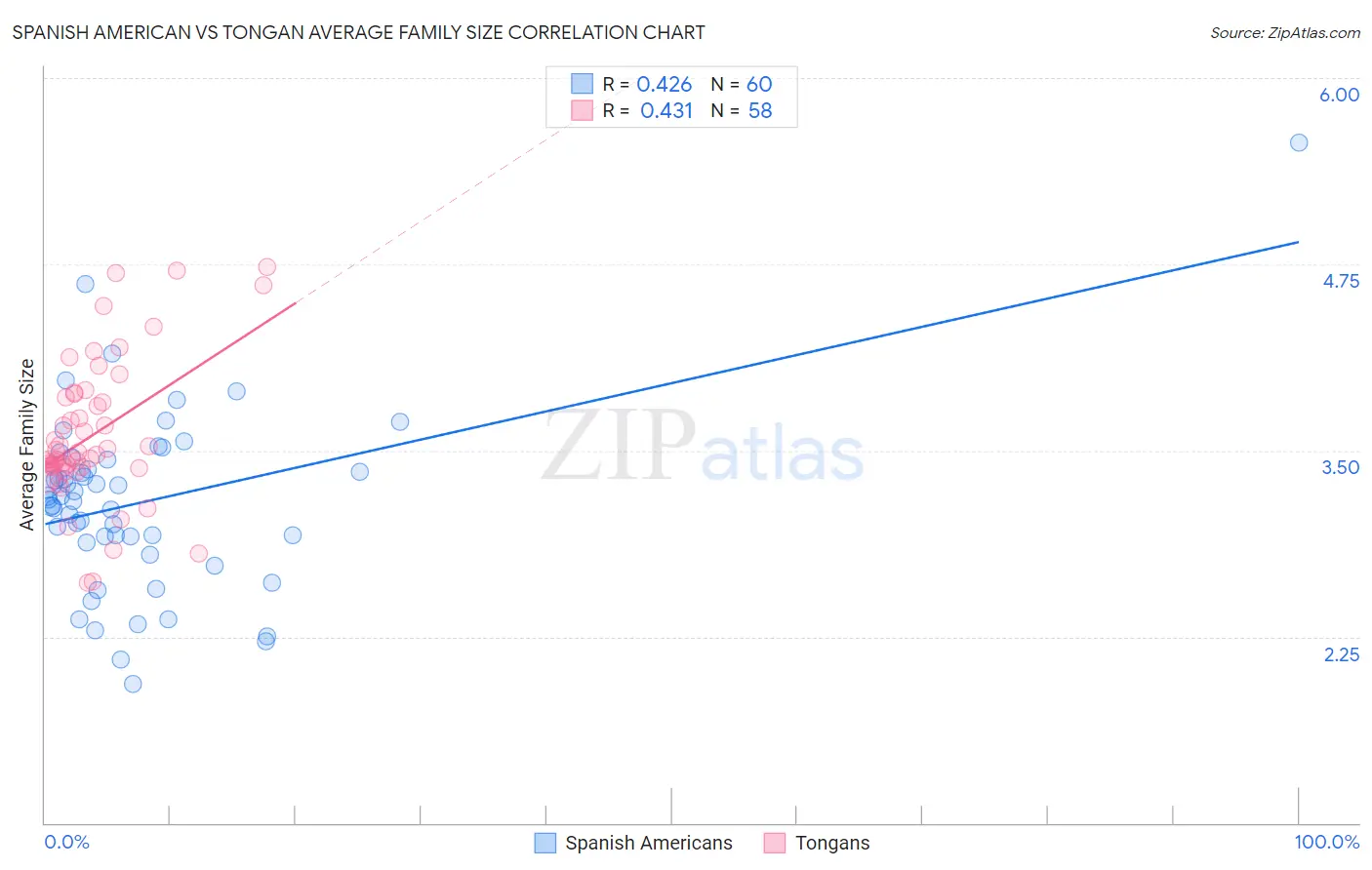 Spanish American vs Tongan Average Family Size