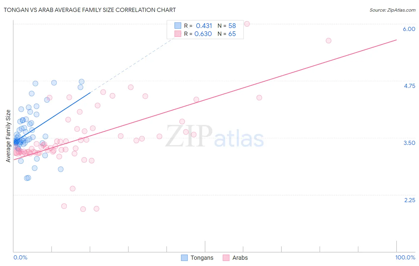 Tongan vs Arab Average Family Size
