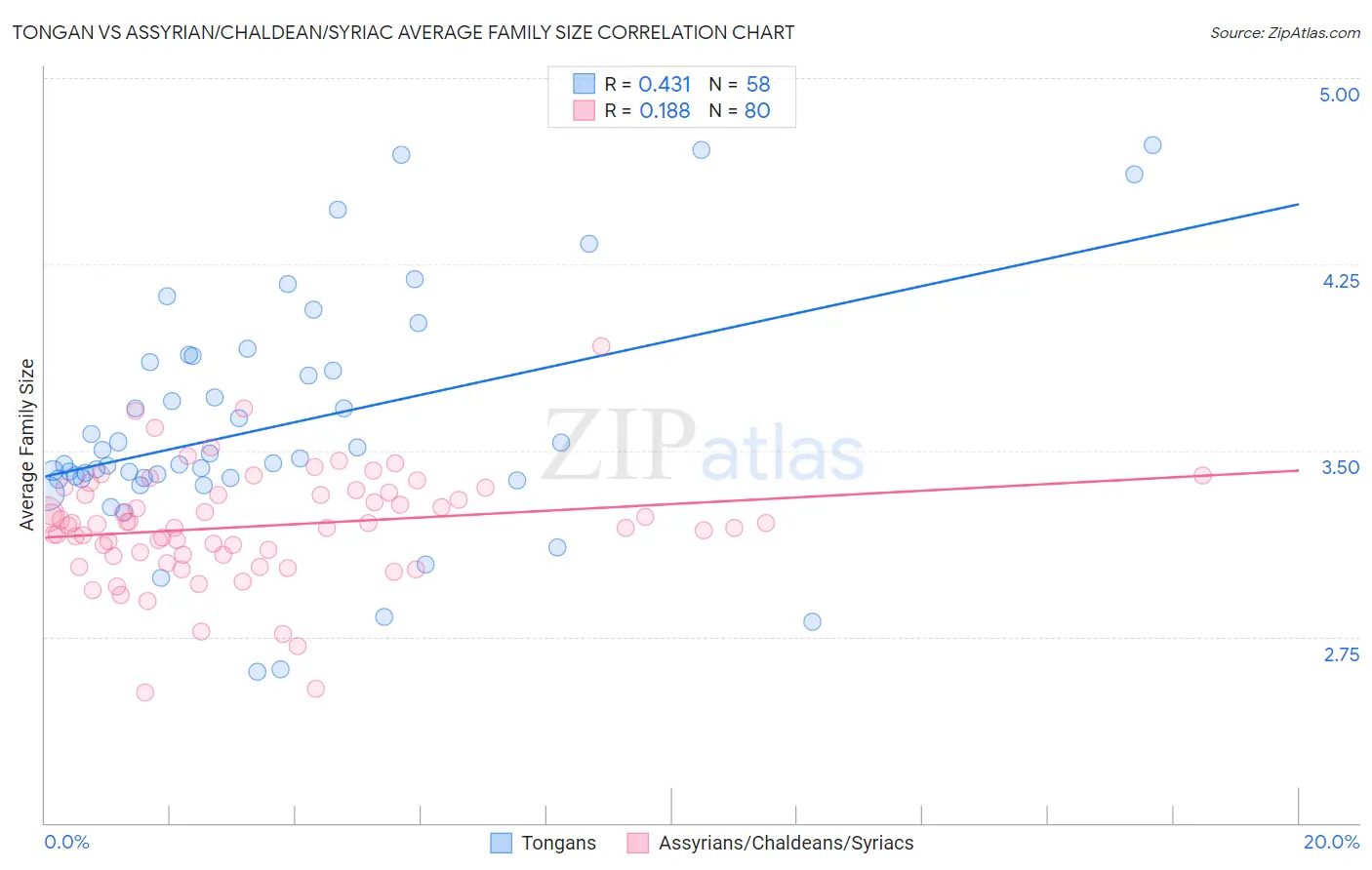 Tongan vs Assyrian/Chaldean/Syriac Average Family Size