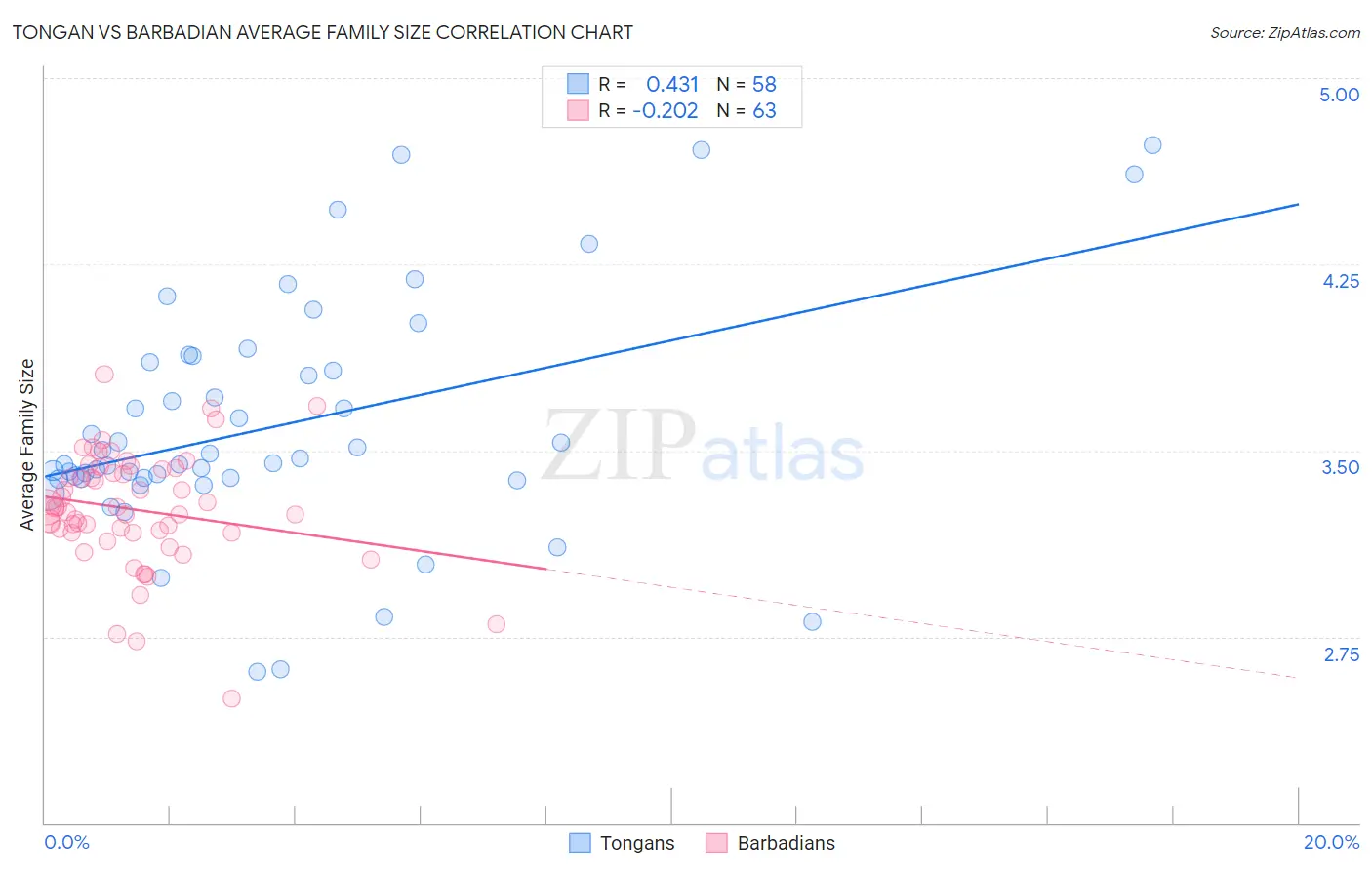 Tongan vs Barbadian Average Family Size