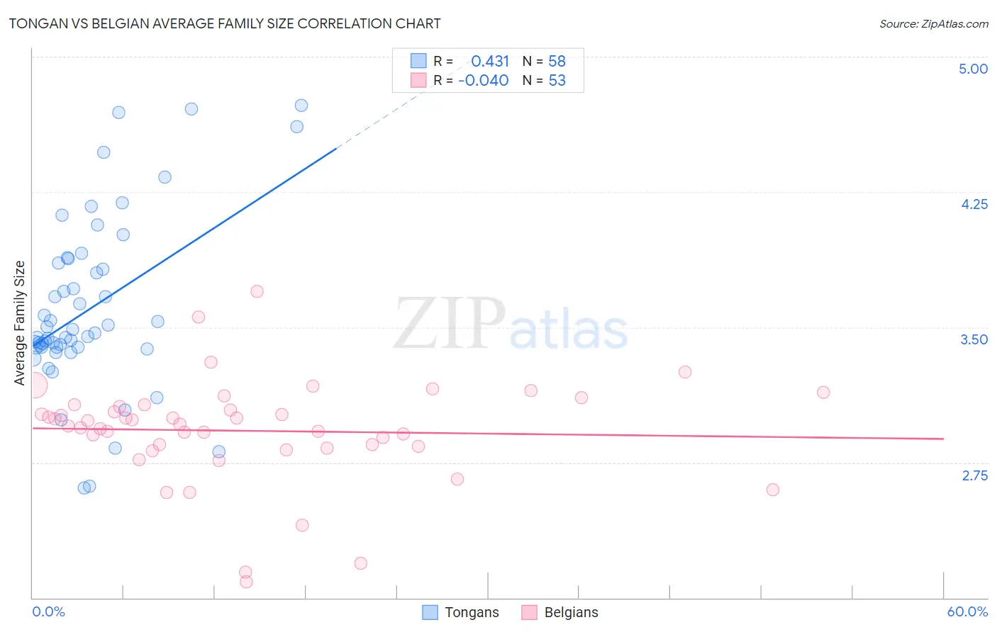 Tongan vs Belgian Average Family Size