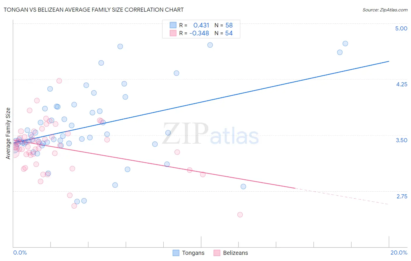 Tongan vs Belizean Average Family Size