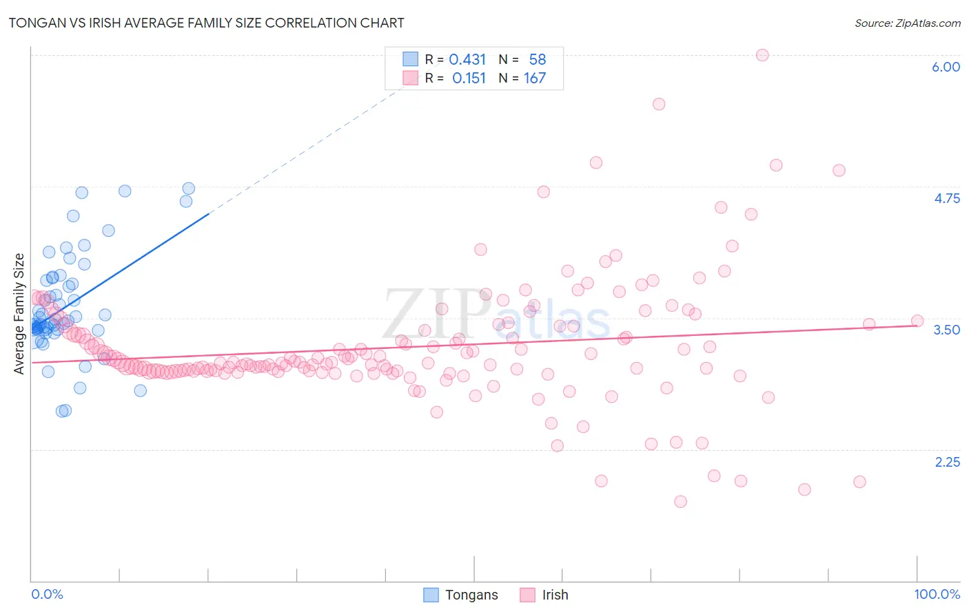 Tongan vs Irish Average Family Size