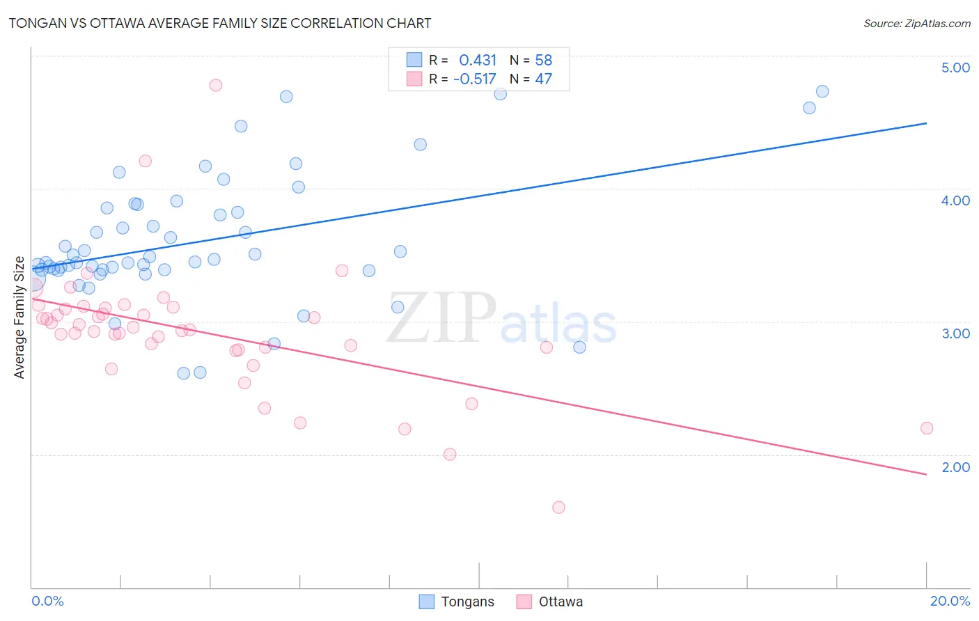 Tongan vs Ottawa Average Family Size