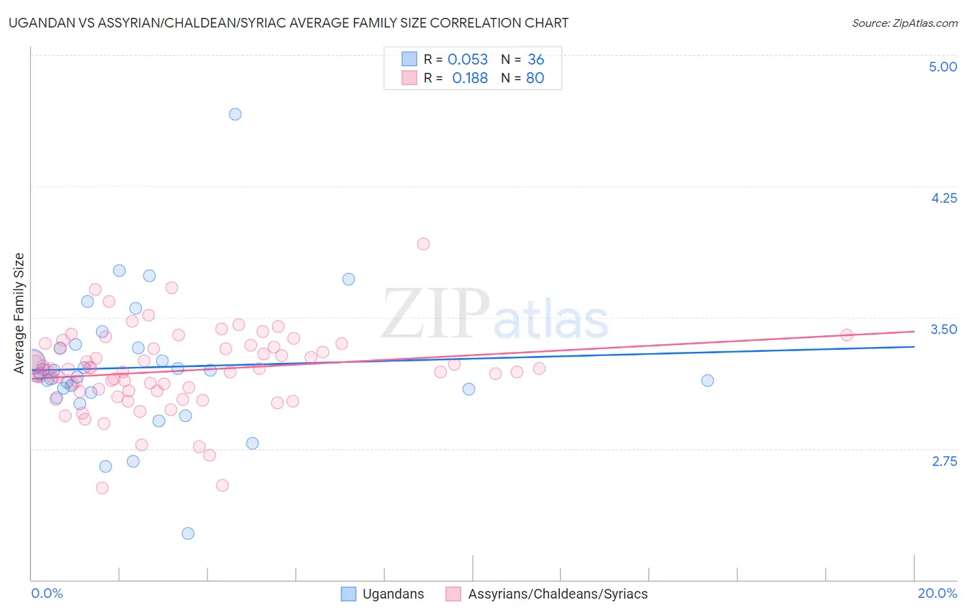 Ugandan vs Assyrian/Chaldean/Syriac Average Family Size
