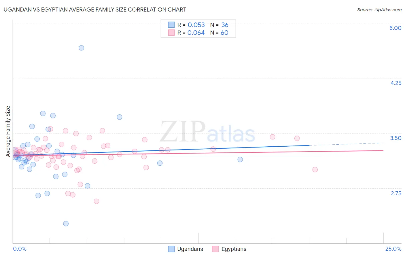 Ugandan vs Egyptian Average Family Size