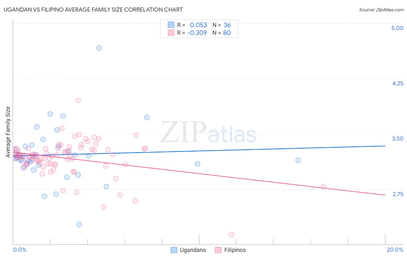 Ugandan vs Filipino Average Family Size