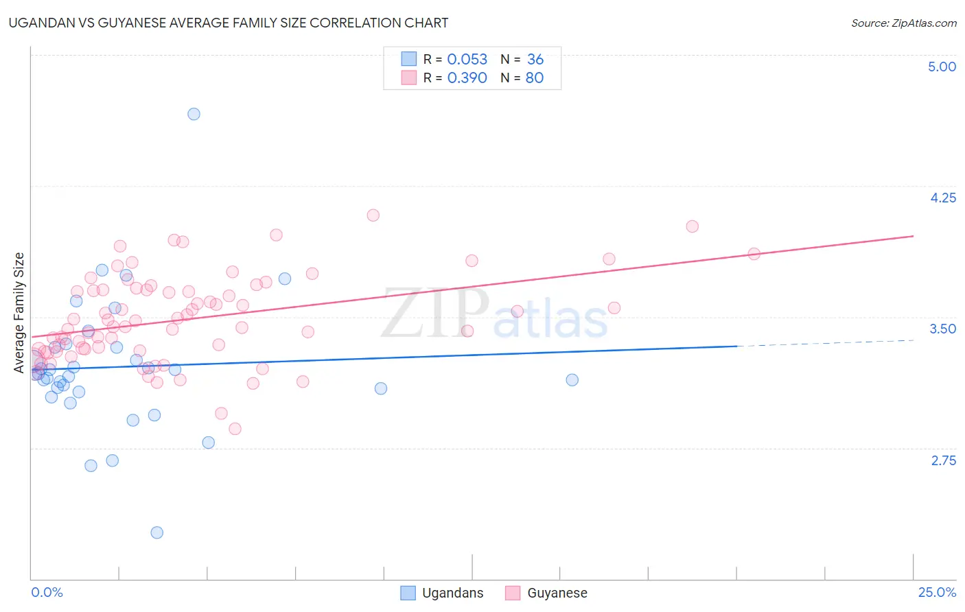 Ugandan vs Guyanese Average Family Size