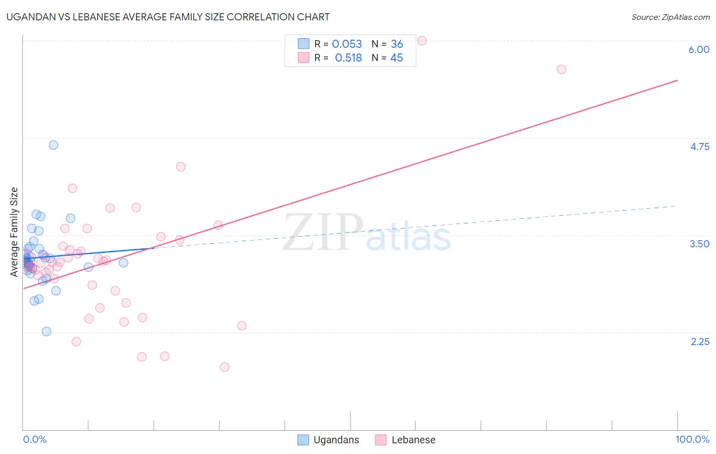 Ugandan vs Lebanese Average Family Size