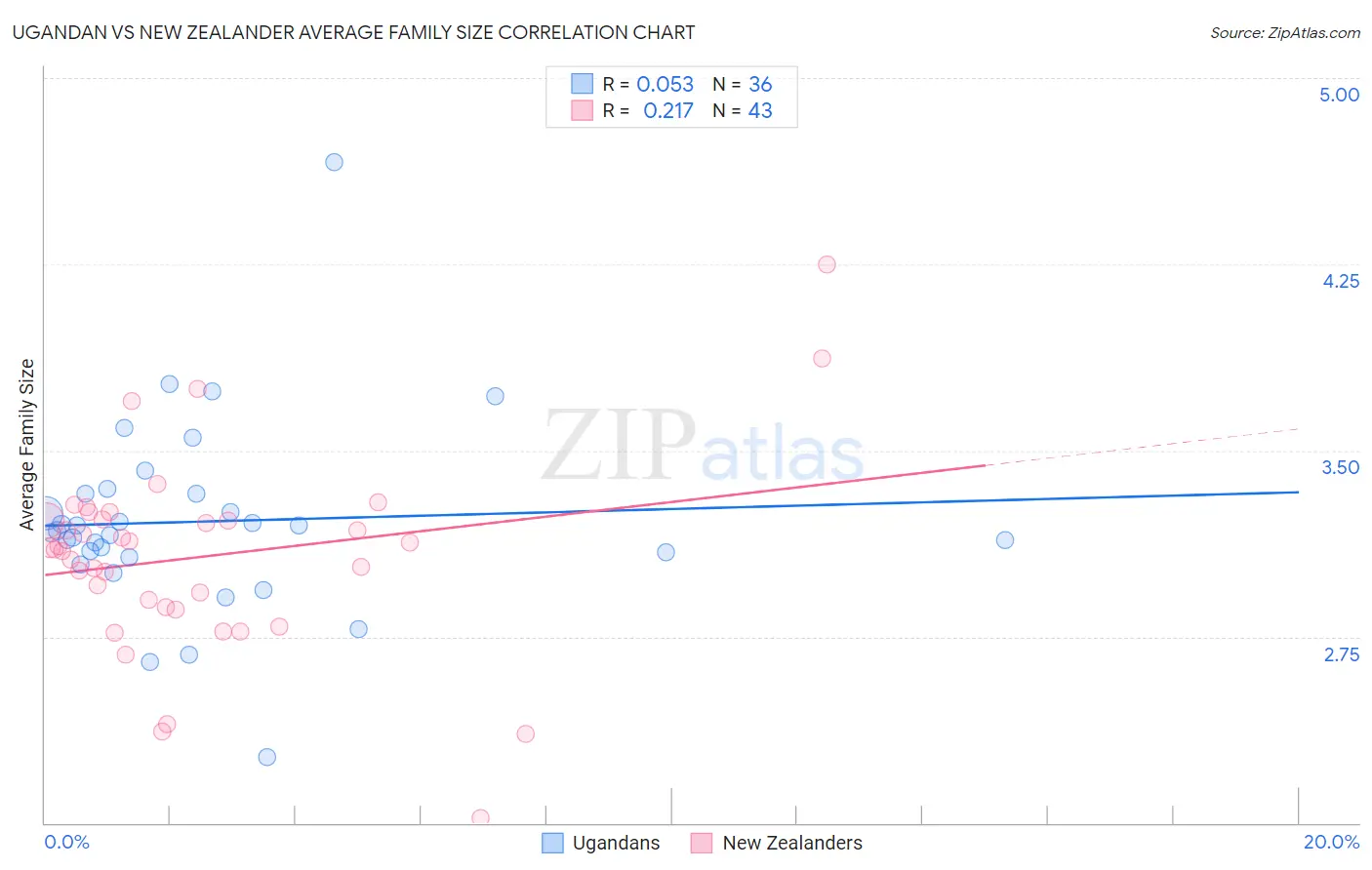 Ugandan vs New Zealander Average Family Size