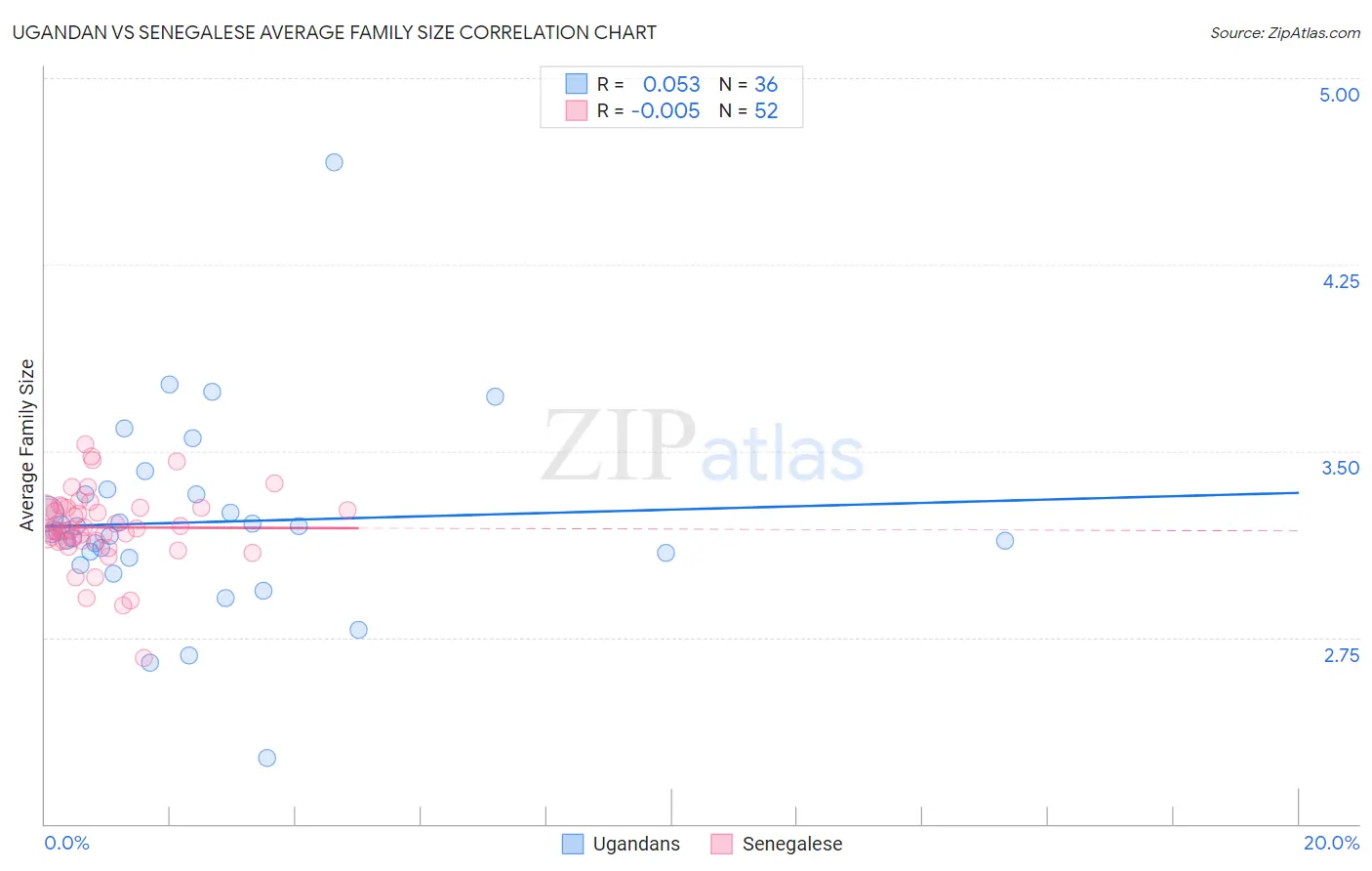 Ugandan vs Senegalese Average Family Size