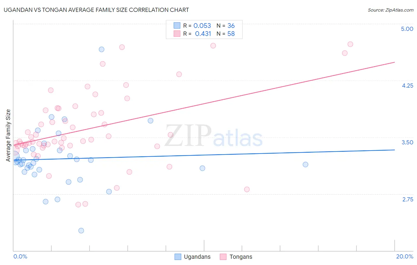 Ugandan vs Tongan Average Family Size