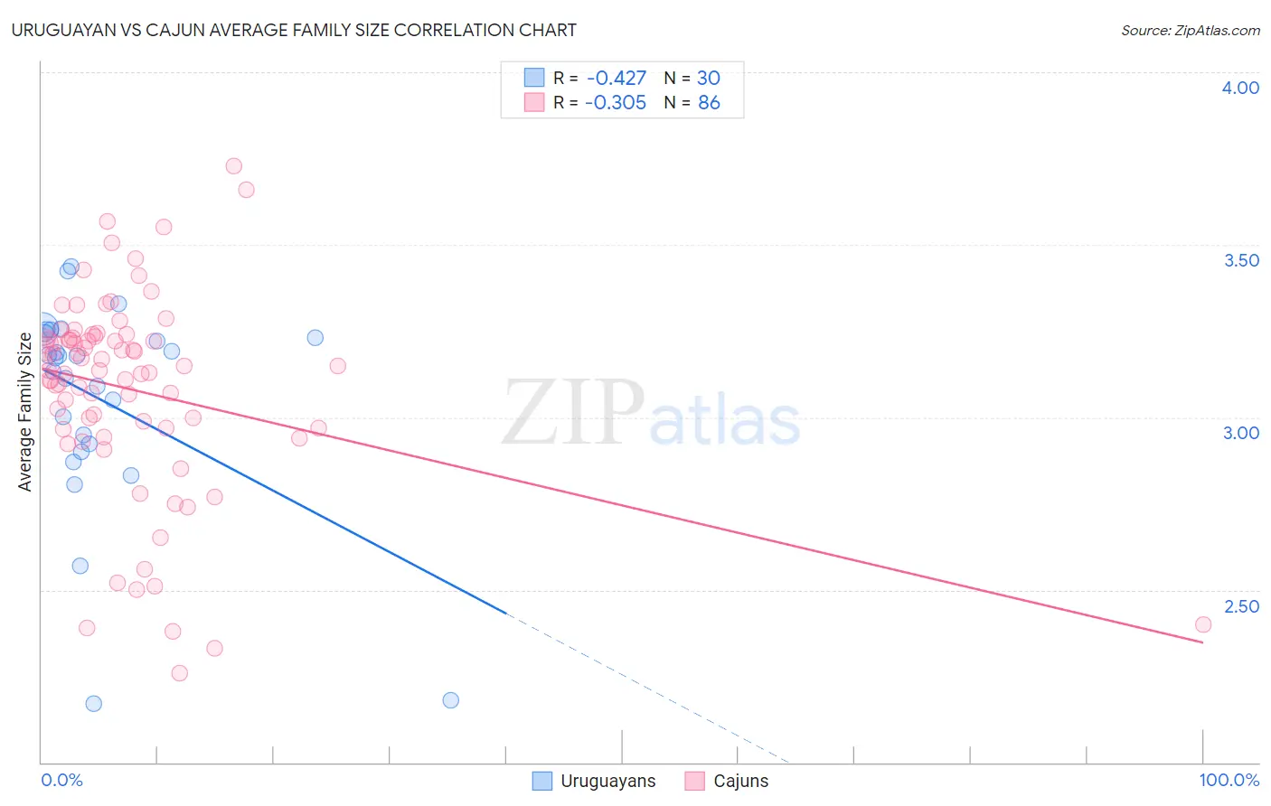 Uruguayan vs Cajun Average Family Size