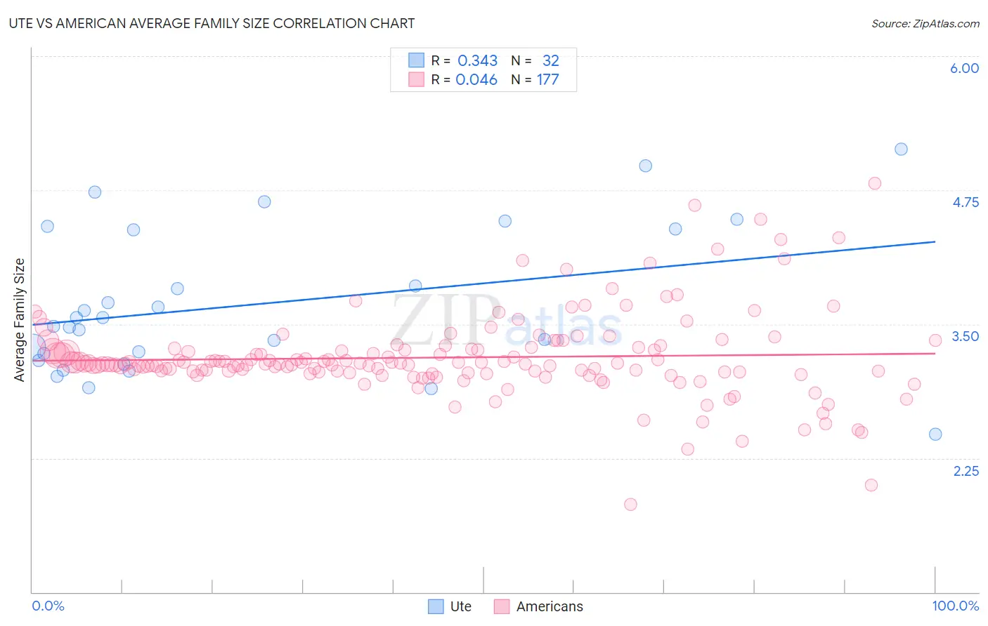 Ute vs American Average Family Size