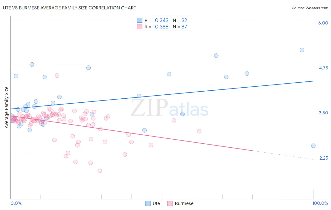 Ute vs Burmese Average Family Size